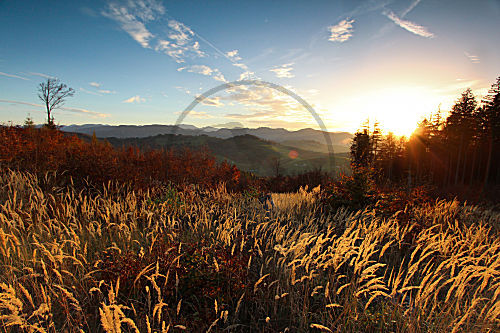 Abendstimmung im Herbst