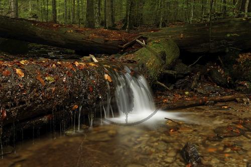 Wasserfall
