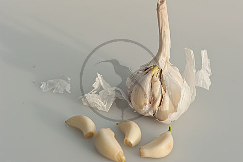 Knoblauch