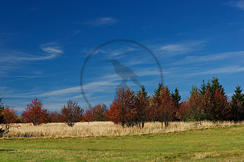 Herbst im Biosphärenreservat Rhön, Bayern, Deutschland
