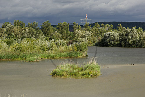 Mainaue bei Sand am Main, Unterfranken, Bayern