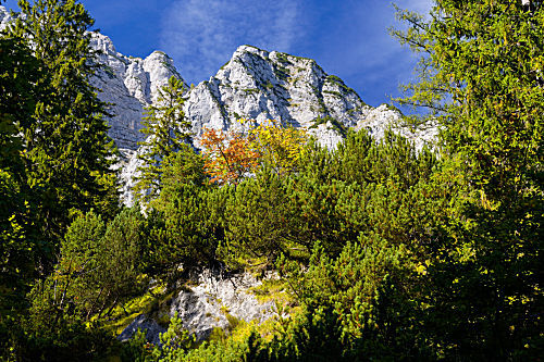 Landschaft an der Halsalm, Nationalpark Berchtesgaden, Germany