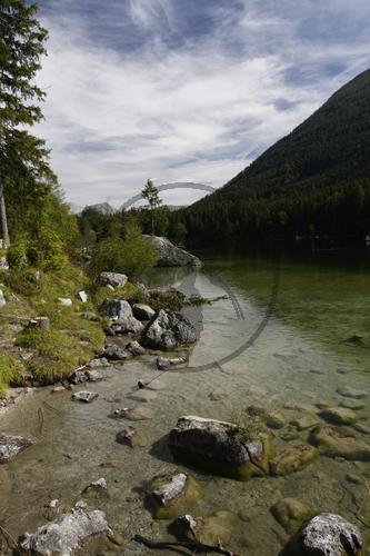 Am Hintersee im Nationalpark Berchtesgaden, Bayern, Deutschland