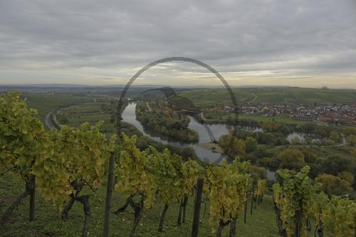 Weinberge an der Volkacher Mainschleife, Unterfanken, Bayern