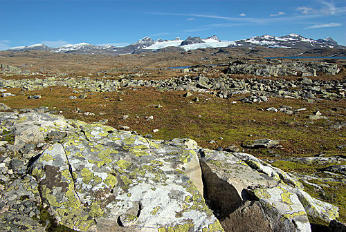 Aussicht vom Sognefjellweg