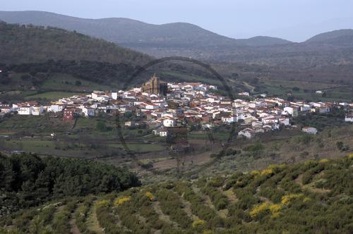 Garciaz