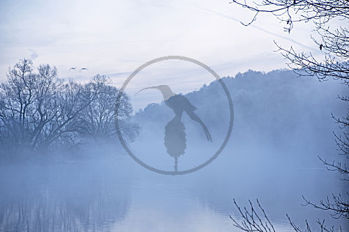 Morgennebel auf der Ruhr