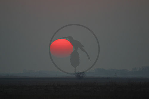 Sonnenaufgang