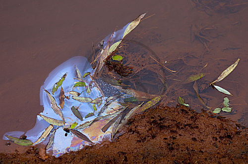 Ölteppich auf Wasser