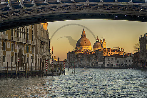 Venedig - Unter der Brücke Accademia