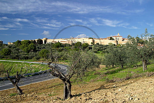 Magliano