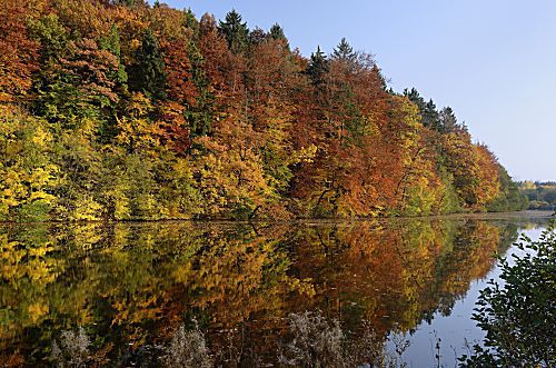 Herbst am See