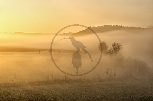 Landschaft im Nebel 3