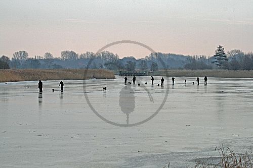 Eisangler