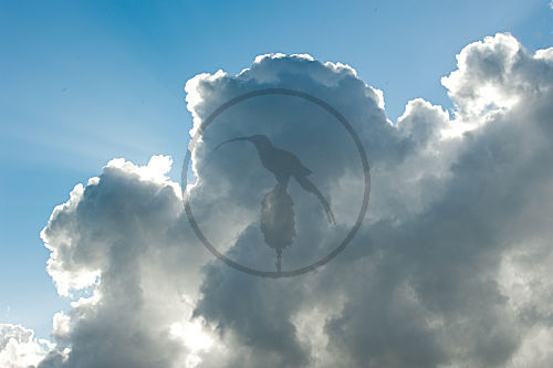 Wolken