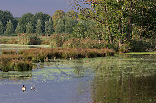 Naturpark Schwalm-Nette