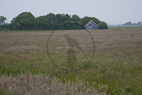Ferienhaus Lageveld - Insel Texel