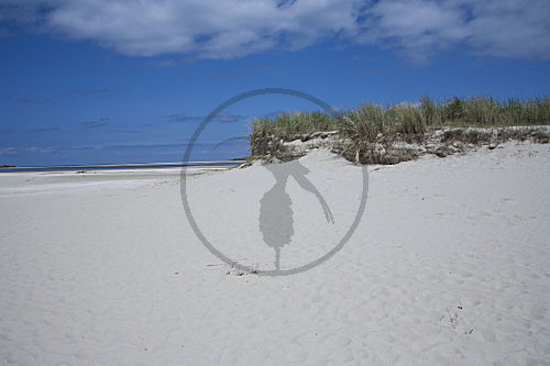 De Slufter - Nationalpark Dünen von Texel - Dünendurchbruch