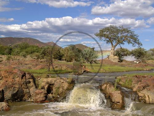 Epupa Falls mit Baobab, Kunene, Namibia