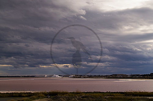 Salins du Midi