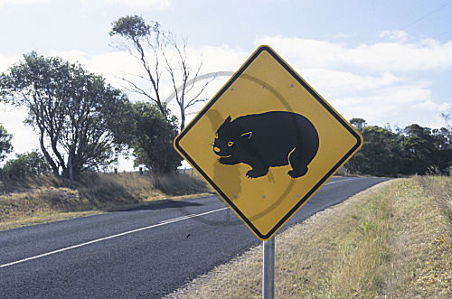 Australischer Nacktnasenwombat Warnschild