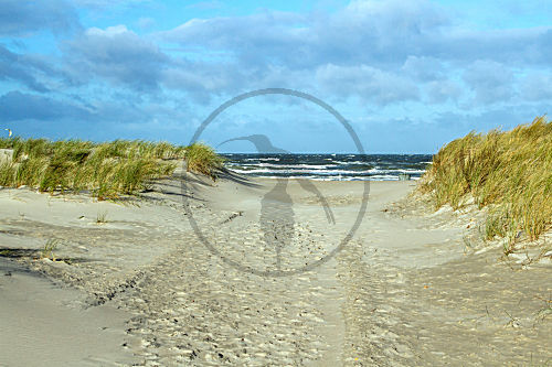 Sturm