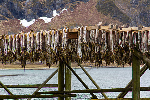 Ramberg - Trockenfisch