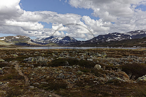 Fjell in Norwegen