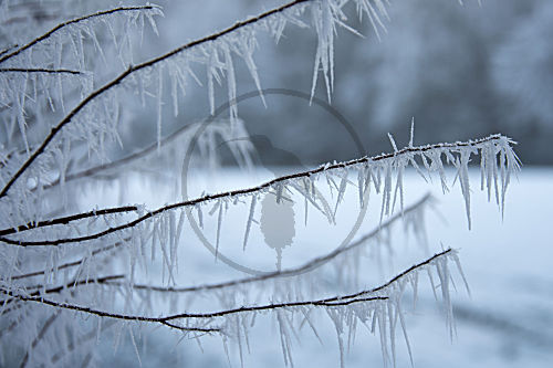 Winterimpression